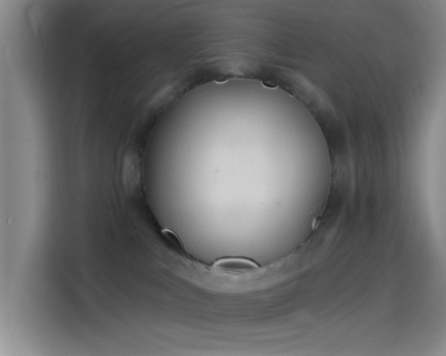 X0000114080043200910131245