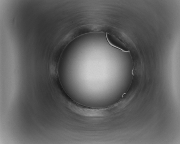 X0000114080044200910131245