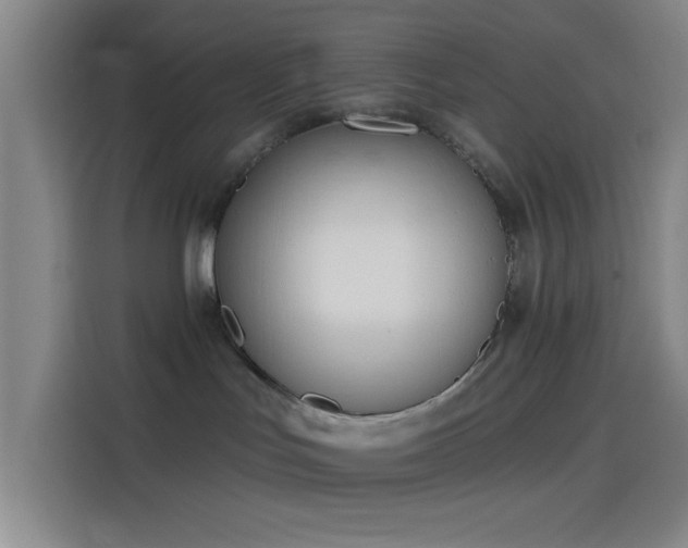 X0000114080047200910131245