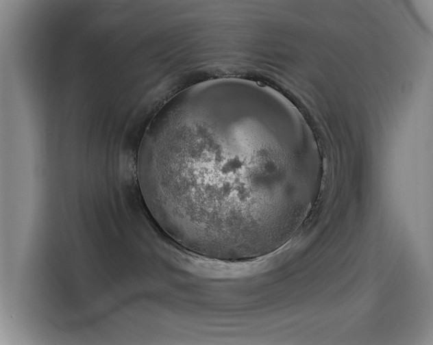 X0000114080048200910131245