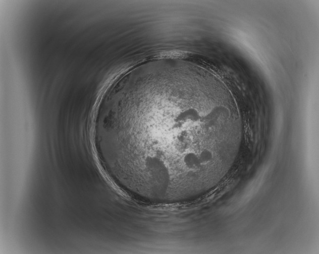 X0000114080049200910131244