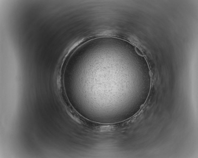 X0000114080050200910131244