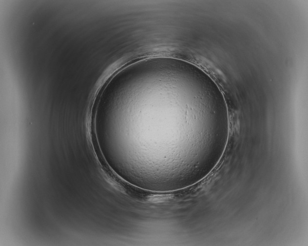 X0000114080051200910131244