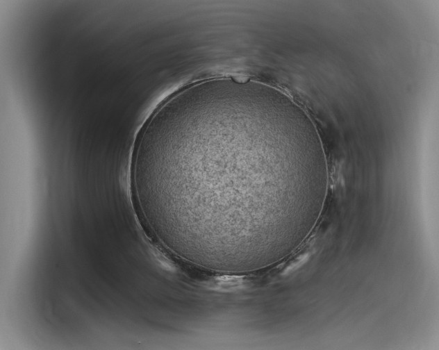 X0000114080052200910131244