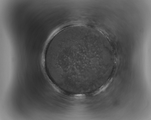 X0000114080053200910131244