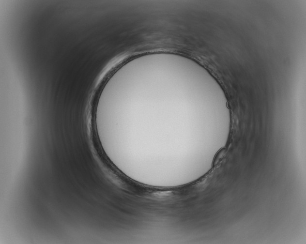 X0000114080054200910131244