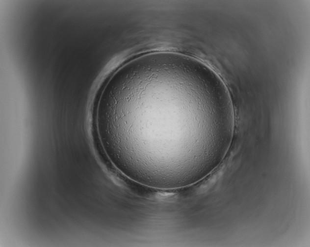 X0000114080055200910131244