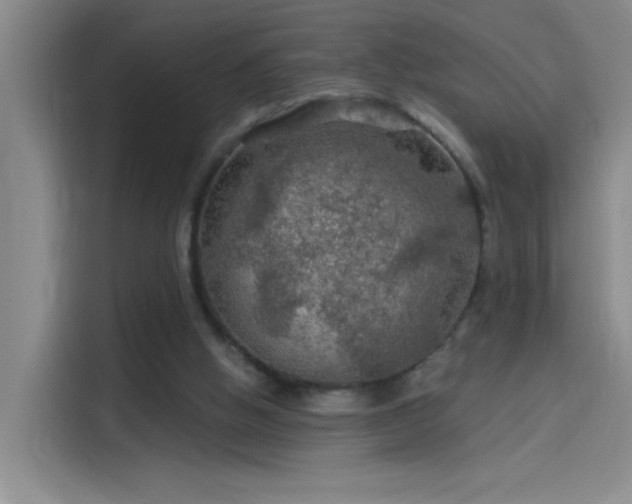 X0000114080058200910131244