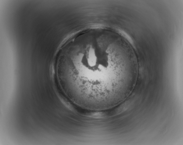 X0000114080059200910131244