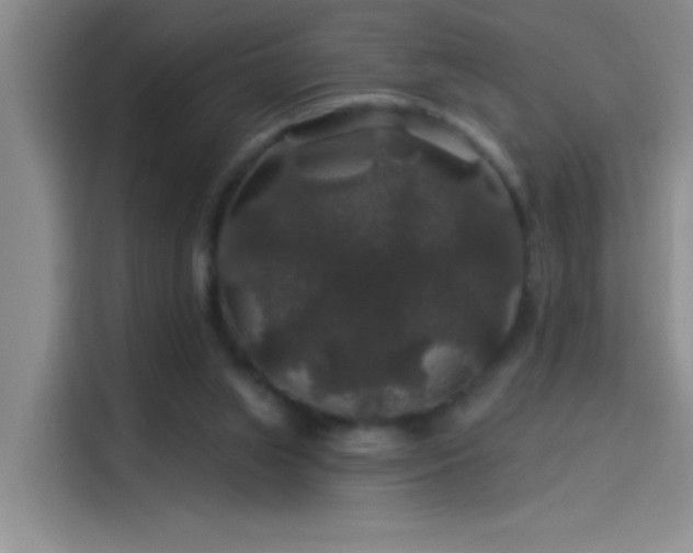 X0000114080063200910131245