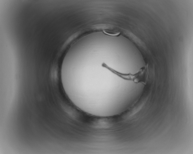 X0000114080064200910131245