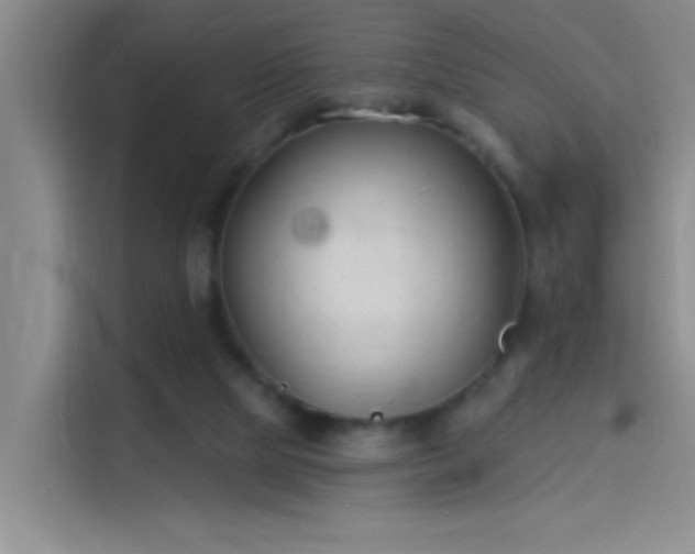 X0000114080065200910131245