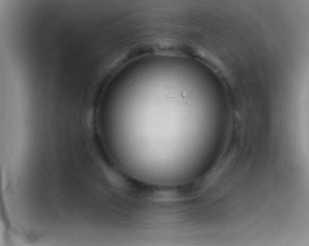 X0000114080066200910131245