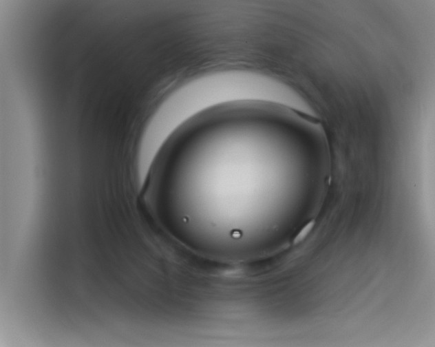 X0000114080068200910131245