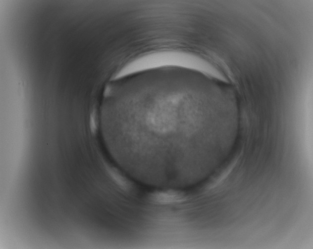 X0000114080069200910131245