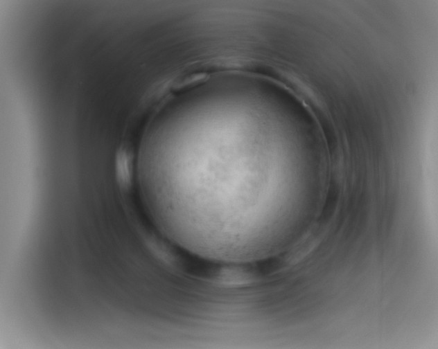 X0000114080070200910131245