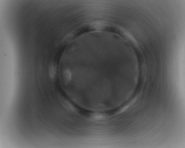 X0000114080073200910131245