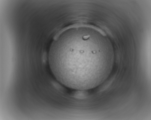 X0000114080077200910131245