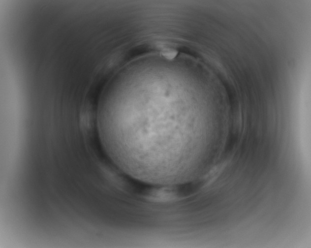 X0000114080078200910131245