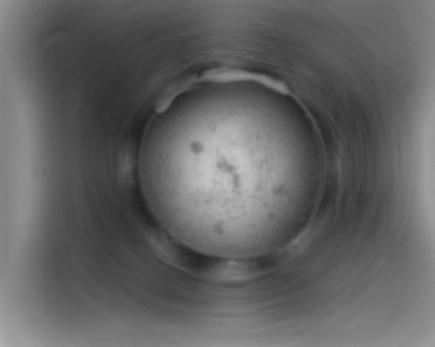 X0000114080082200910131245