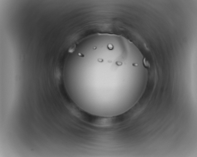 X0000114080084200910131245