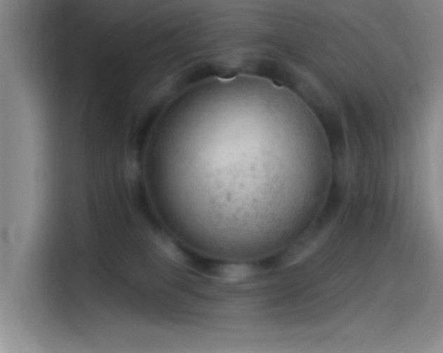 X0000114080085200910131245