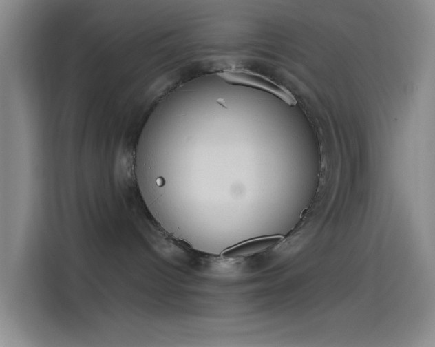 X0000114080096200910131245