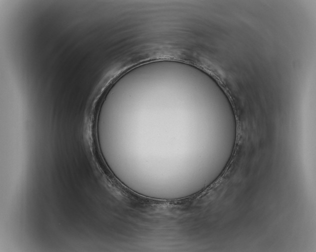 X0000114080098200910131244