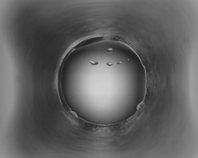 X0000114080100200910131244