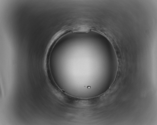 X0000114080104200910131244