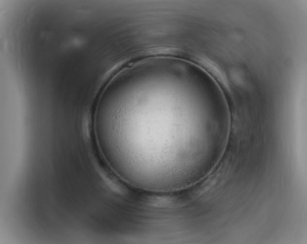 X0000114080107200910131244