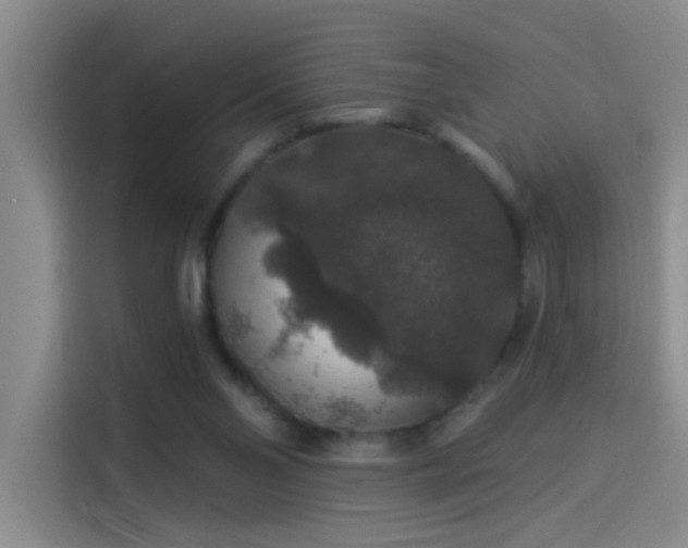 X0000114080110200910131244