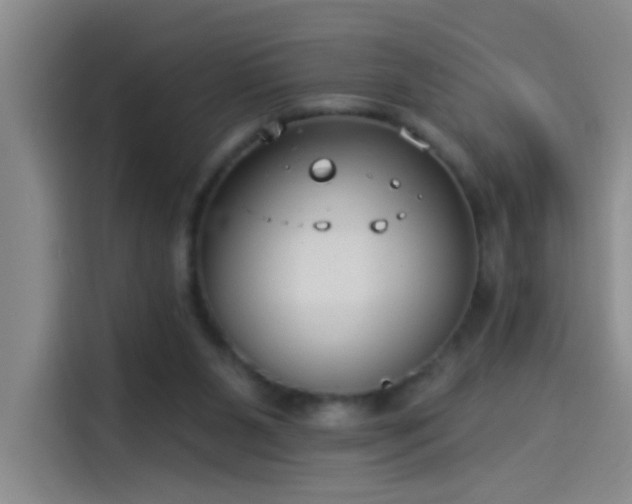 X0000114080111200910131244