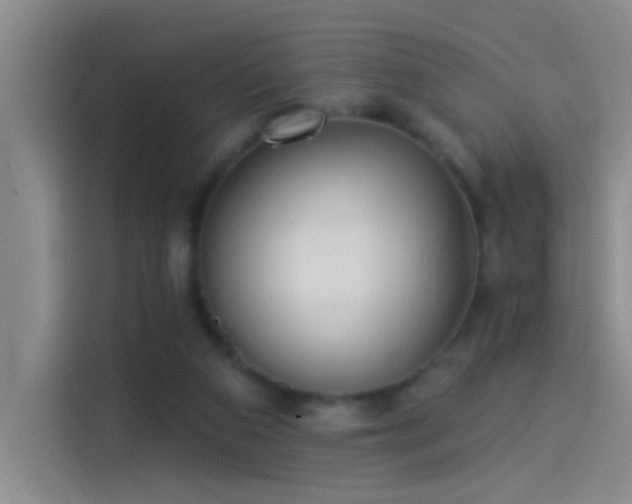 X0000114080113200910131244