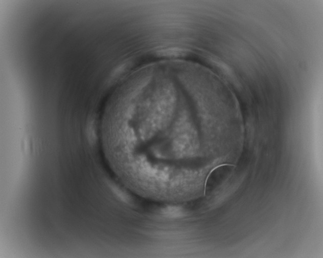 X0000114080114200910131244