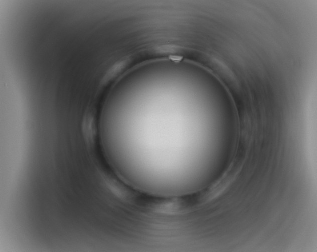 X0000114080116200910131244