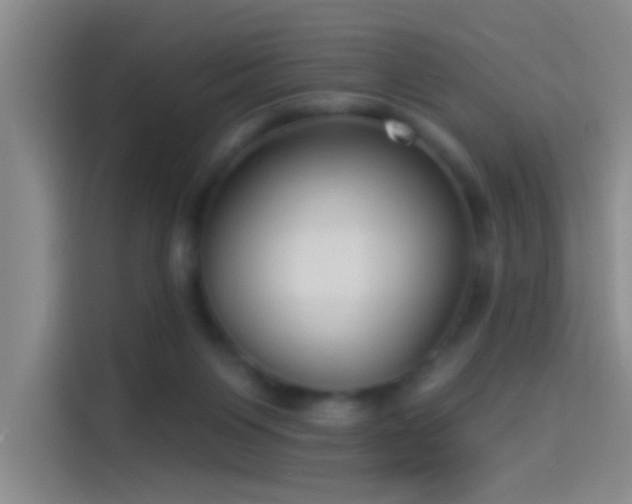 X0000114080119200910131244