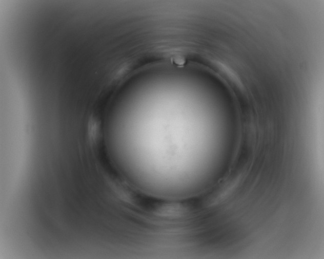 X0000114080123200910131244