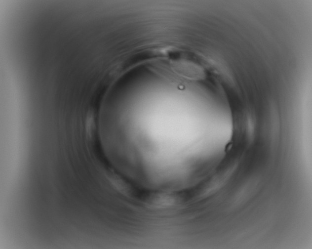 X0000114080127200910131244