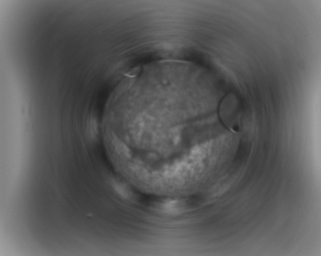 X0000114080130200910131244