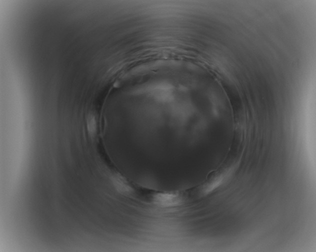 X0000114080139200910131244