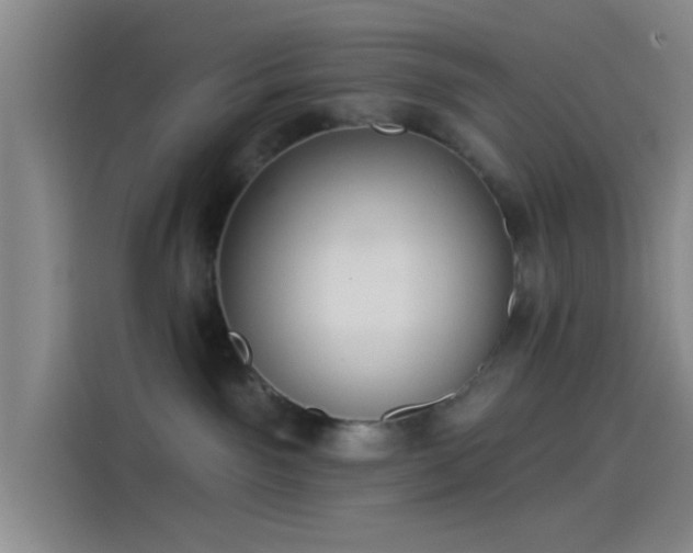 X0000114080141200910131244