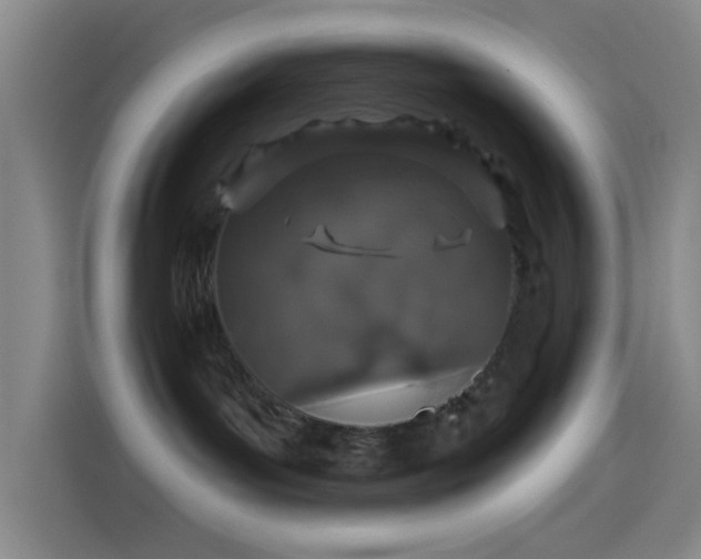 X0000114080143200910131244