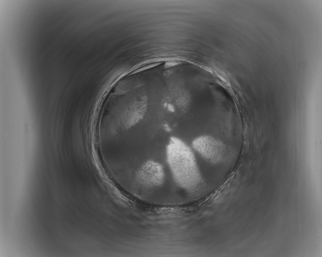 X0000114080145200910131243