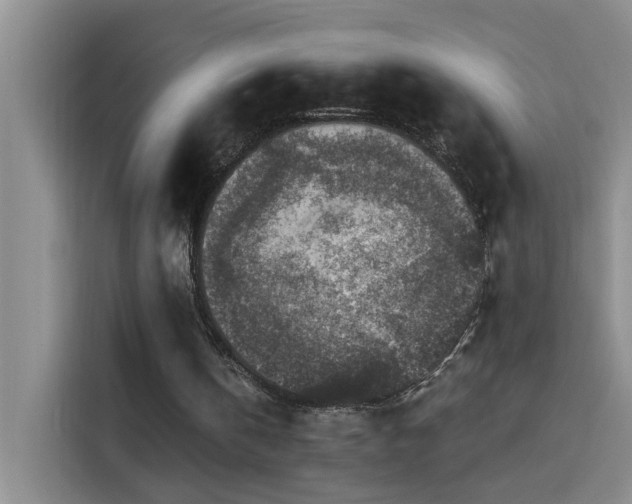 X0000114080146200910131243