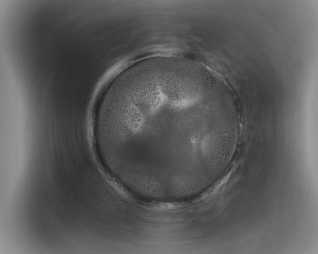 X0000114080149200910131243