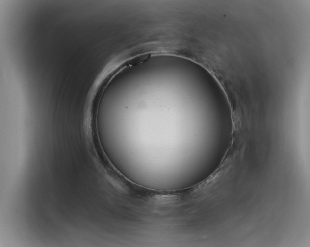 X0000114080150200910131243