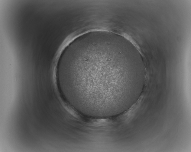 X0000114080151200910131243