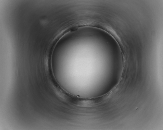 X0000114080154200910131243