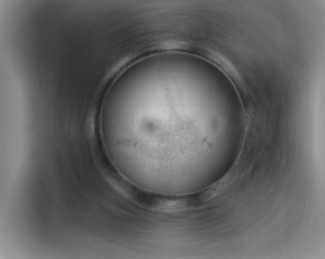 X0000114080155200910131243